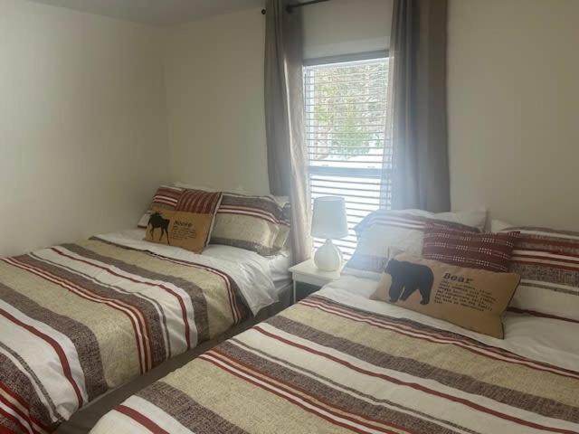 Cozy With Breathtaking Mountain View Notre-Dame-Des-Bois